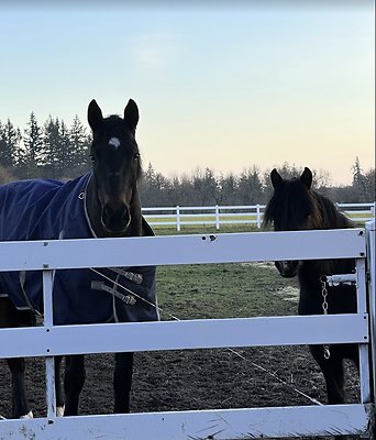 Screenshot 2025-06-14 at 8.13.09 PM