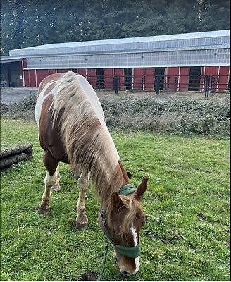 Screenshot 2025-06-14 at 10.33.14 AM