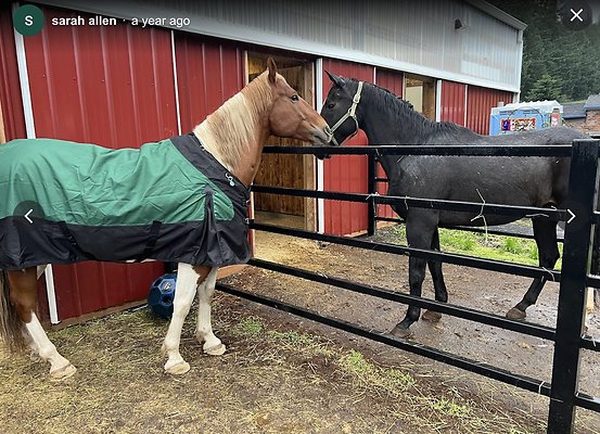 Screenshot 2025-06-14 at 10.33.25 AM