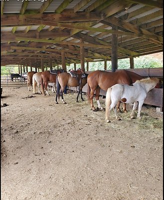 Screenshot 2025-06-14 at 7.33.49 PM