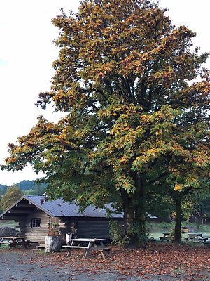 907549181365010 4791270518957413426 n