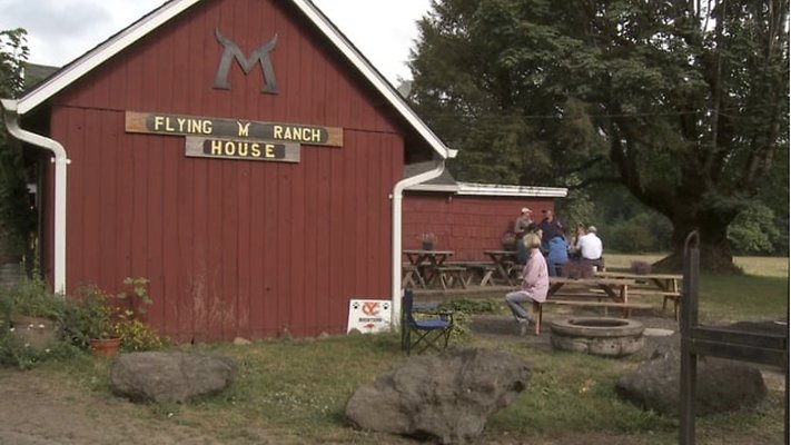 Screenshot 2025-06-14 at 7.42.21 PM