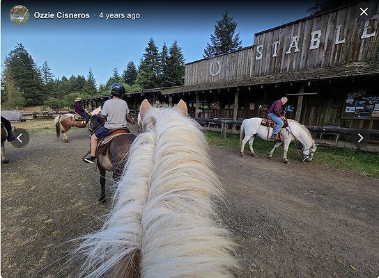 Screenshot 2025-06-14 at 7.34.15 PM