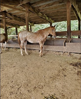 Screenshot 2025-06-14 at 7.35.33 PM