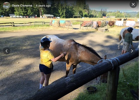 Screenshot 2025-06-14 at 7.37.05 PM