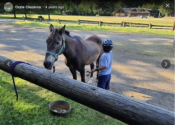 Screenshot 2025-06-14 at 7.35.53 PM