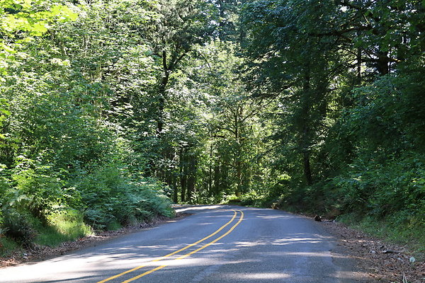 Mosier Rd 012