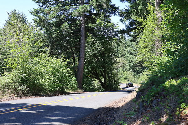 Mosier Rd 034