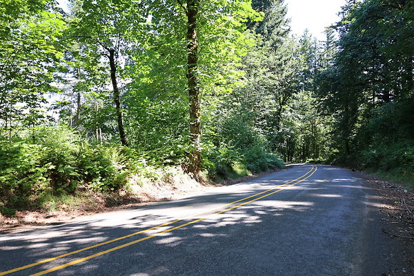 Mosier Rd 011