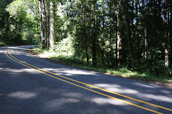 Mosier Rd 016
