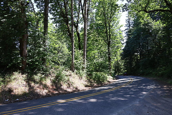 Mosier Rd 007