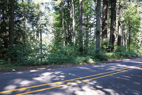 Mosier Rd 018