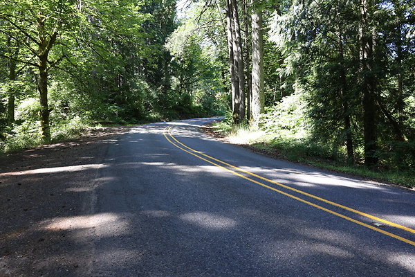 Mosier Rd 015