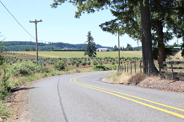 Mosier Rd 100