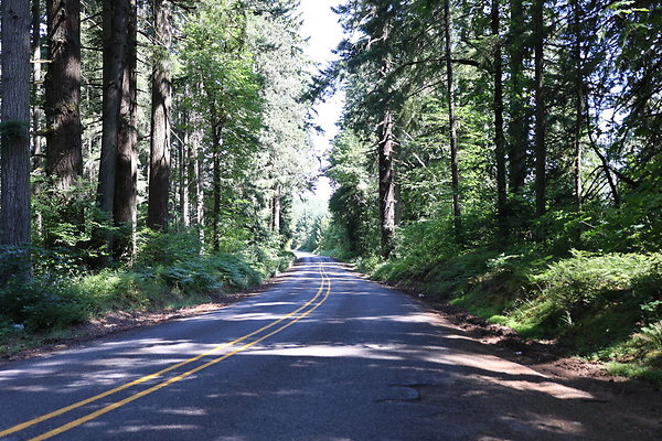Mosier Rd 020
