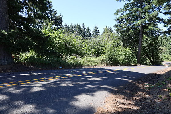 Mosier Rd 036