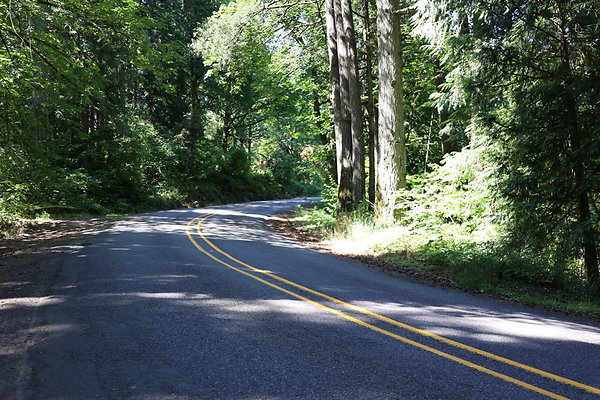 Mosier Rd 014