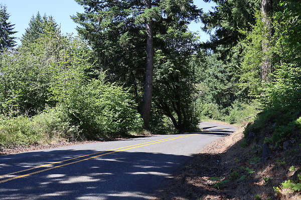 Mosier Rd 030