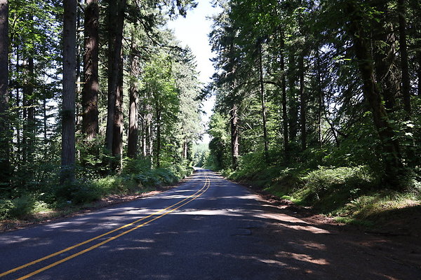 Mosier Rd 019