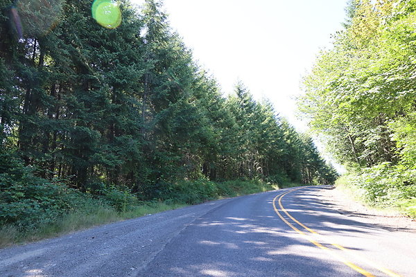 Mosier Rd 022