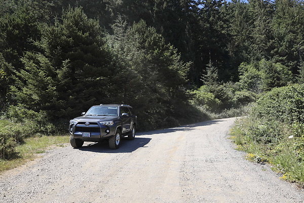 Whaleshead Beach 011