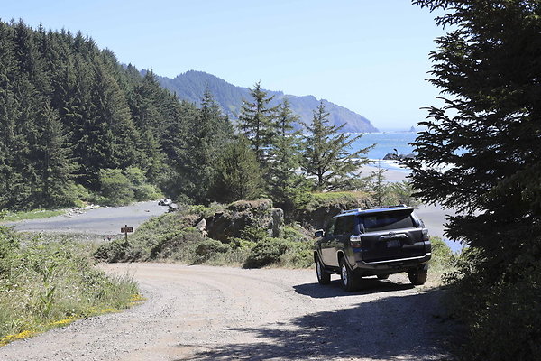 Whaleshead Beach 010
