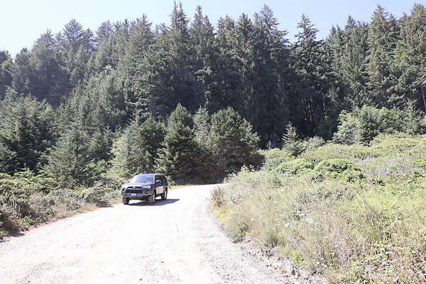 Whaleshead Beach 014