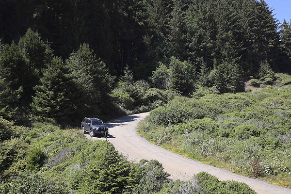 Whaleshead Beach 050
