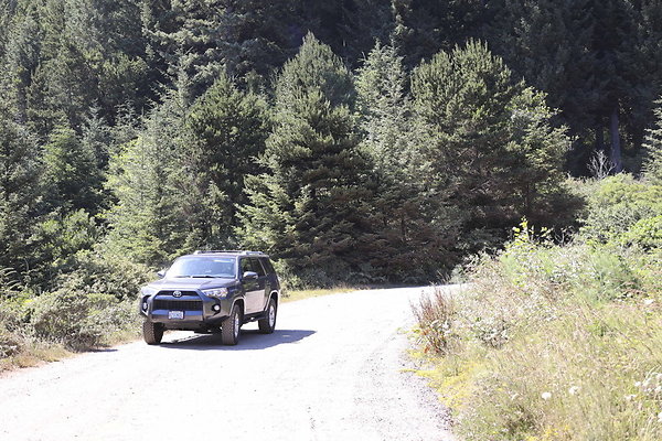 Whaleshead Beach 016