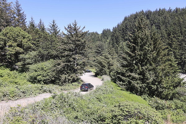 Whaleshead Beach 022