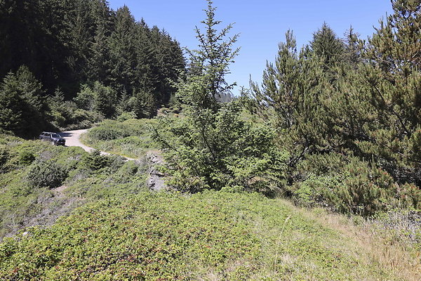 Whaleshead Beach 034