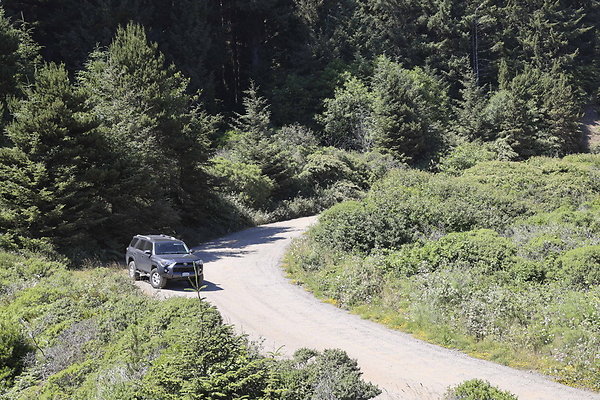 Whaleshead Beach 051