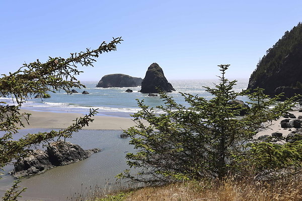 Whaleshead Beach 044