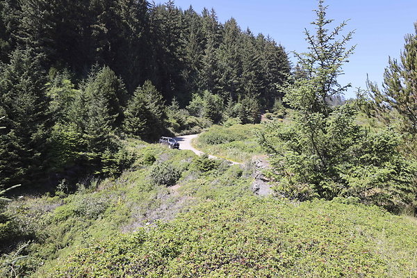 Whaleshead Beach 033