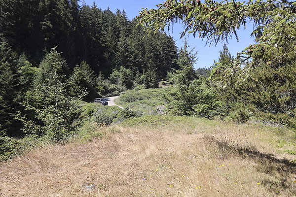 Whaleshead Beach 046