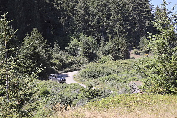 Whaleshead Beach 048