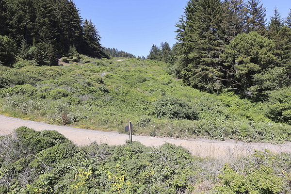 Whaleshead Beach 059