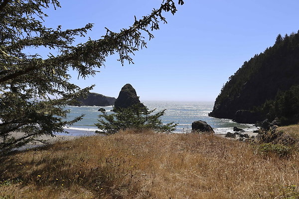 Whaleshead Beach 029