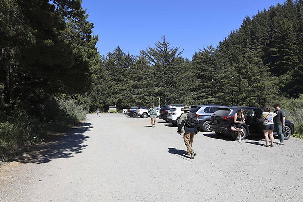 Whaleshead Beach 062