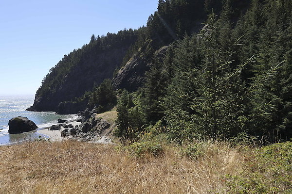 Whaleshead Beach 040