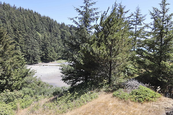 Whaleshead Beach 024