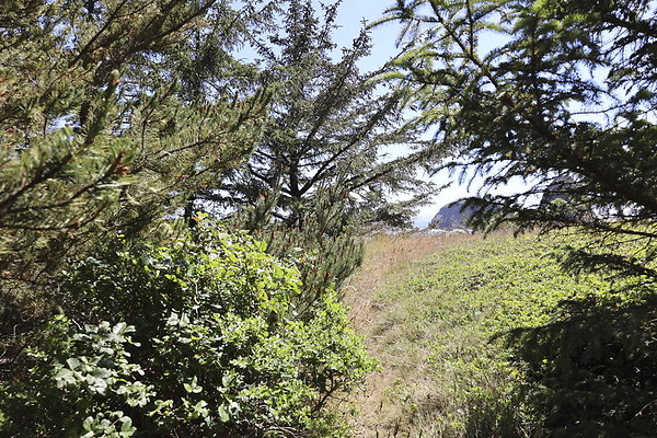 Whaleshead Beach 027