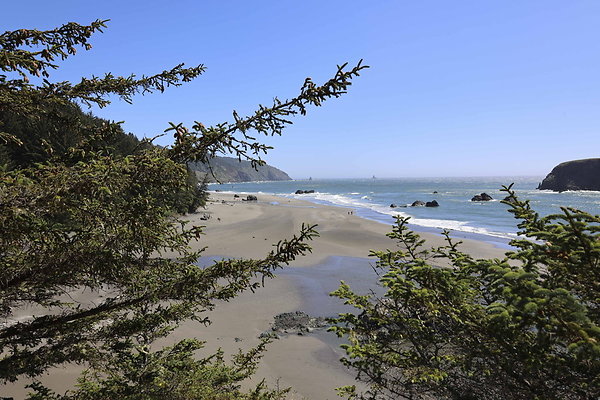 Whaleshead Beach 043