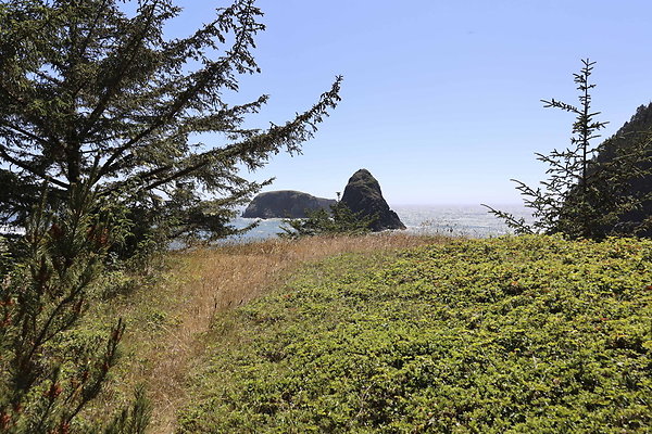 Whaleshead Beach 028