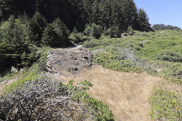 Whaleshead Beach 026