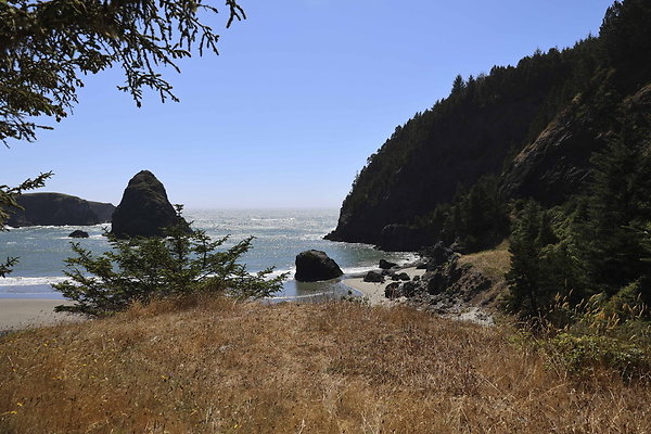 Whaleshead Beach 039