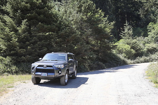 Whaleshead Beach 012