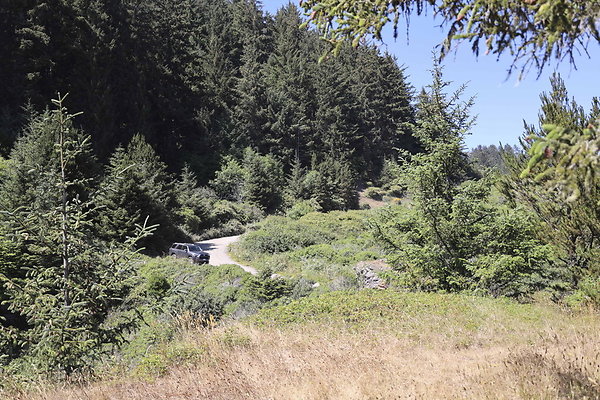 Whaleshead Beach 047