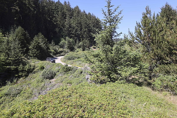 Whaleshead Beach 030