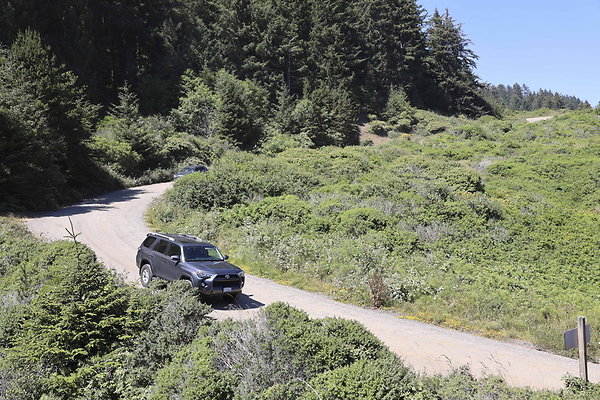 Whaleshead Beach 018